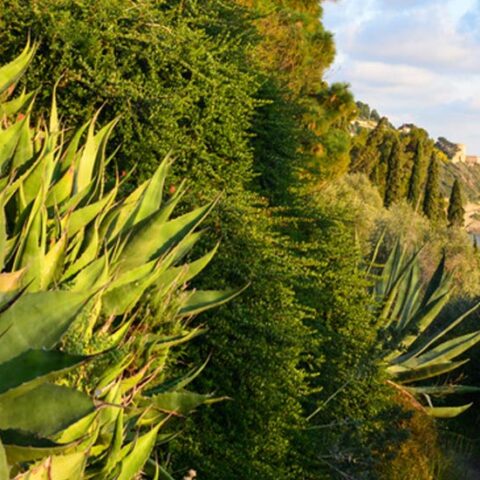 Giardino Piacenza Boccanegra